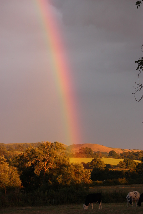 Rainbow sky